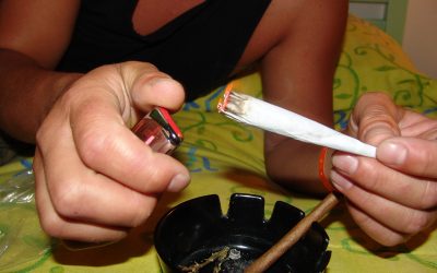 Les effets du cannabis : Le côté néfaste de cette drogue douce