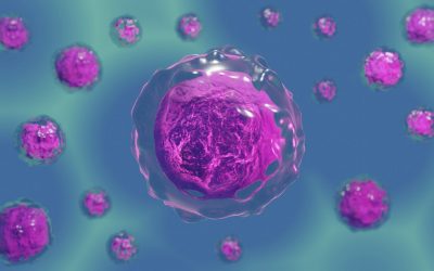 Cellules NK : Que sont ces lymphocytes tueurs naturels ?