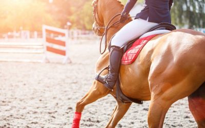 Compétition d’équitation : l’équipement à avoir avec vous