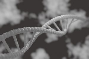Pour faire un test ADN de paternité, certaines étapes sont à suivre avant d'entamer la procédure en laboratoire. Voici ce que vous devez savoir à ce propos.