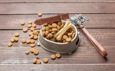 Croquettes françaises pour chats : le guide pour faire le bon choix